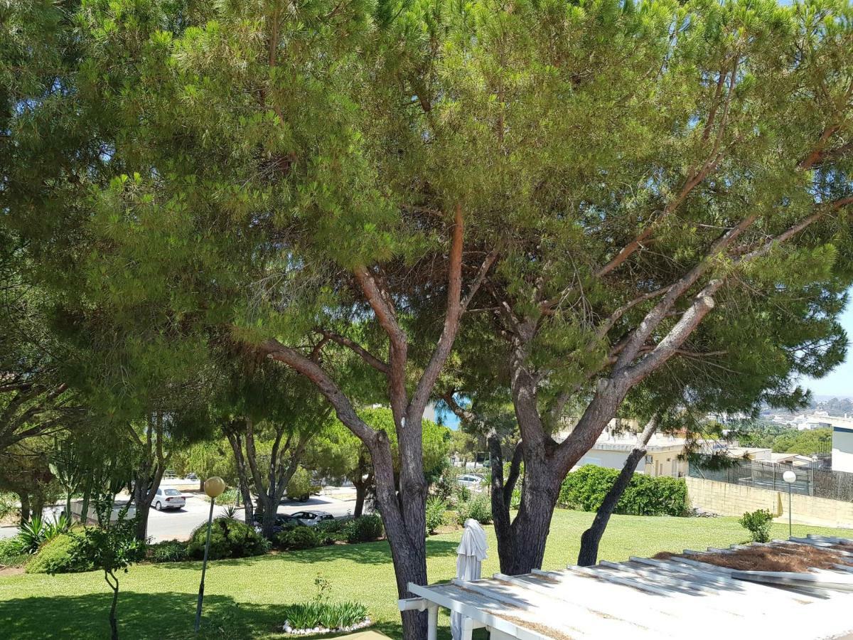 Lugar De La Luz Διαμέρισμα Εστεπόνα Εξωτερικό φωτογραφία